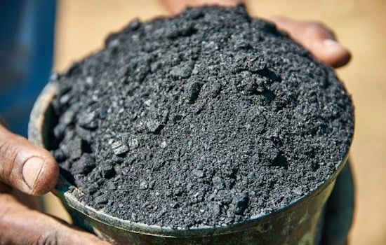 Coral Gables Bags $1.5 Million In Trash Cash As Biochar Bet Heats Up