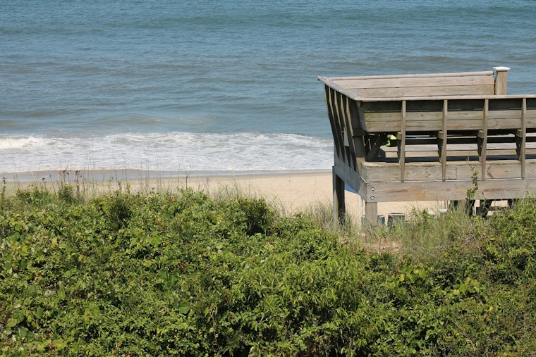 Corolla Beach Stinks As Eroding Dunes Unearth Buried Whale