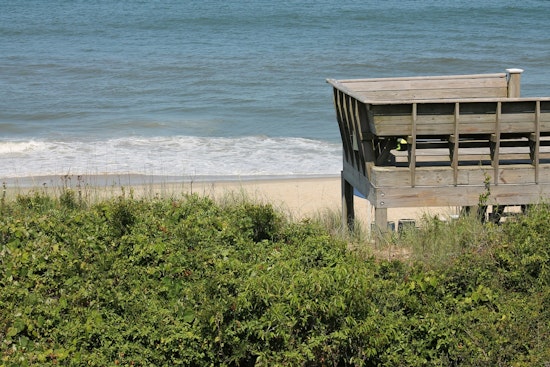 Corolla Beach Stinks As Eroding Dunes Unearth Buried Whale