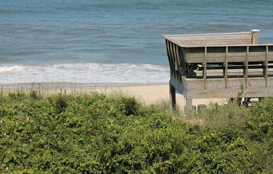 Corolla Beach Stinks As Eroding Dunes Unearth Buried Whale