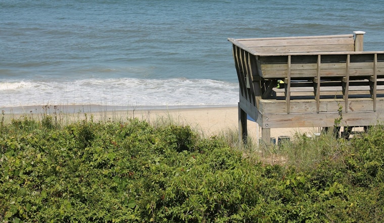 Corolla Beach Stinks As Eroding Dunes Unearth Buried Whale