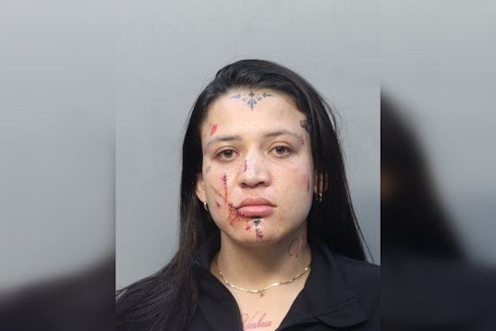 Costco Gas Pump Meltdown: Miami Woman Accused Of Chasing, Beating Driver After Membership Spat