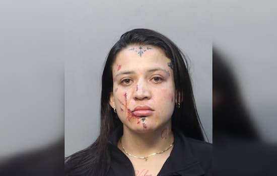 Costco Gas Pump Meltdown: Miami Woman Accused Of Chasing, Beating Driver After Membership Spat