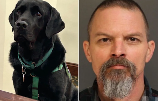 Courthouse Pup Crashes Jury Room, Blows Up Central Pa. Dog-Death Trial