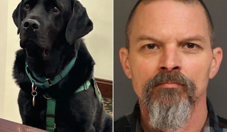 Courthouse Pup Crashes Jury Room, Blows Up Central Pa. Dog-Death Trial
