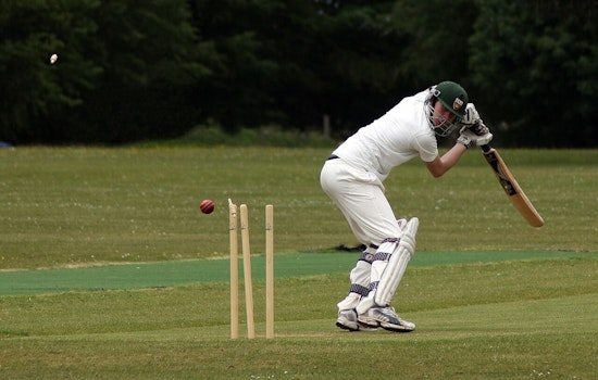Cricket Craze Has Minnesota Lawmakers Swinging for High School Teams