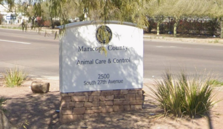 Cruel Lost-Pet Scam Hits Phoenix, Humane Society Sounds Alarm