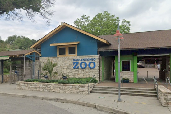 Custody Clash at San Antonio Zoo as Man Pulls Gun