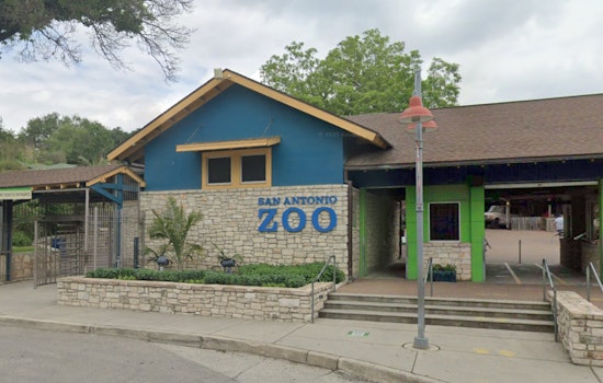 Custody Clash at San Antonio Zoo as Man Pulls Gun