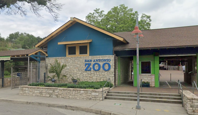 Custody Clash at San Antonio Zoo as Man Pulls Gun