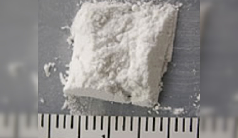 DA: West Haverstraw Mail Bust Nets 1.2 Pounds Of Fentanyl