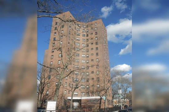 Dawn Horror Inside Bronx Forest Houses as 27-Year-Old Man Shot Dead