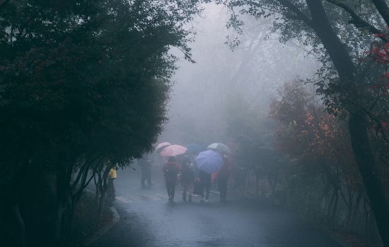 D.C. Wakes To Sneaky Ice Glaze As Big Warmup Lurks Midweek