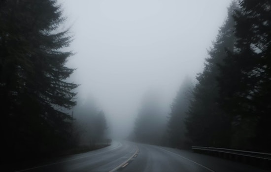 D.C. Socked In By Thick Fog As Warmer Weekend Brings Storm Threat