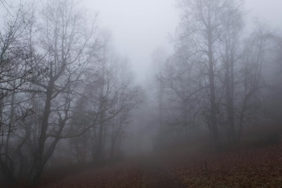 D.C. Wakes In A Fog Before Showers Crash The Day