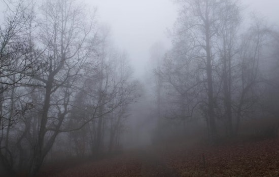D.C. Wakes In A Fog Before Showers Crash The Day
