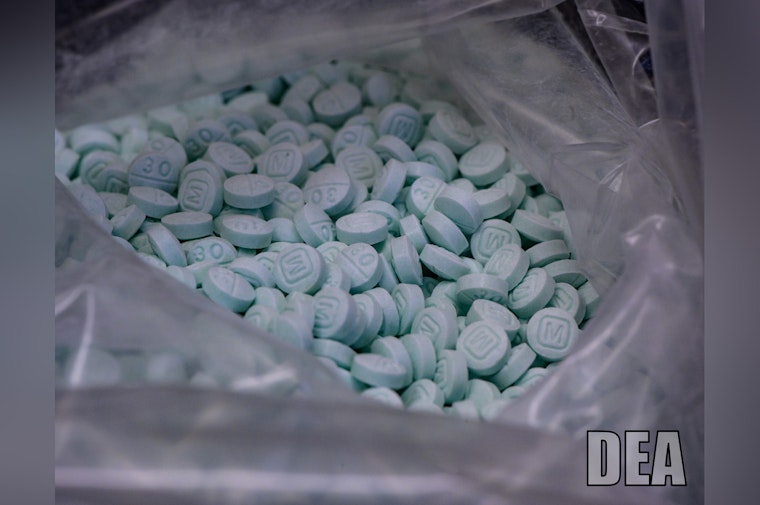 DEA Sends More Agents To Florida As Smuggling Routes Shift