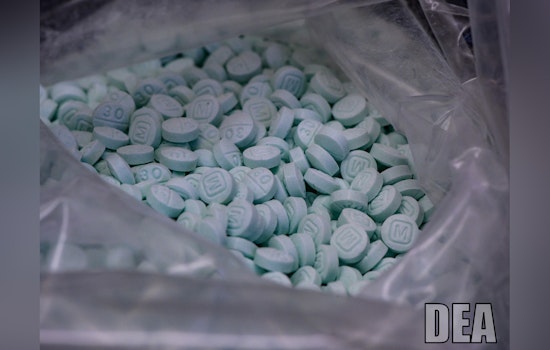 DEA Sends More Agents To Florida As Smuggling Routes Shift