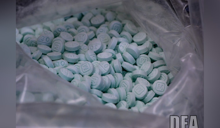 DEA Sends More Agents To Florida As Smuggling Routes Shift