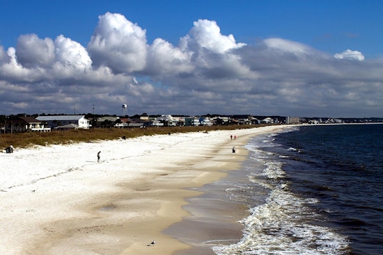 Dead Dolphins Keep Washing Up On Florida Beaches In Grim Mystery