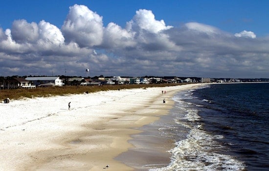 Dead Dolphins Keep Washing Up On Florida Beaches In Grim Mystery