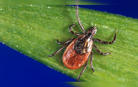 Deadly Tick Virus Makes First Appearance in Winnebago County