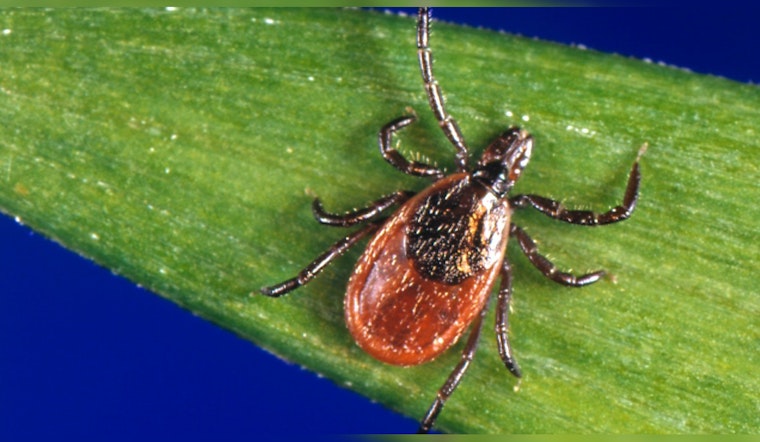 Deadly Tick Virus Makes First Appearance in Winnebago County