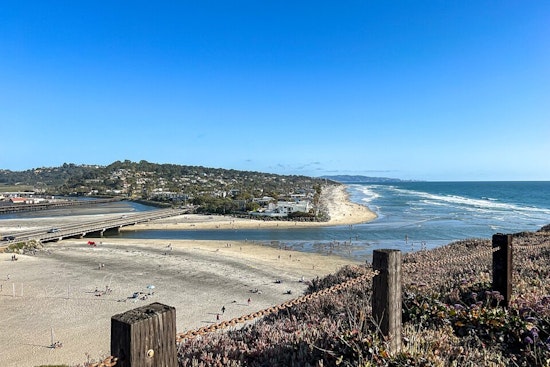 Del Mar Dog Beach Rattled As Huge Bluff Crashes Down, Hurts No One