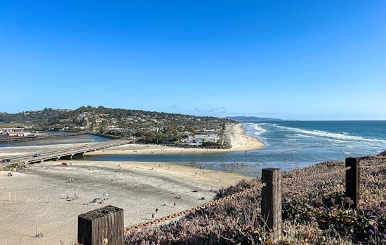 Del Mar Dog Beach Rattled As Huge Bluff Crashes Down, Hurts No One