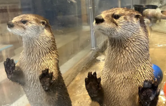 Delmarva Discovery Museum Closing In Pocomoke City
