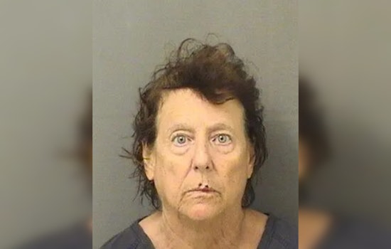 Delray Senior Arrested After Hit and Run in Kings Point Parking Lot