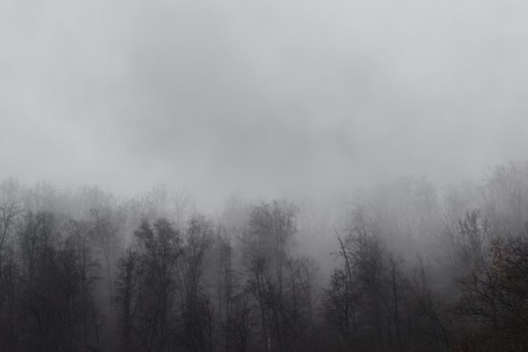 Thick Fog Chokes D.C. Morning Rush, With More Wet Weather On Deck