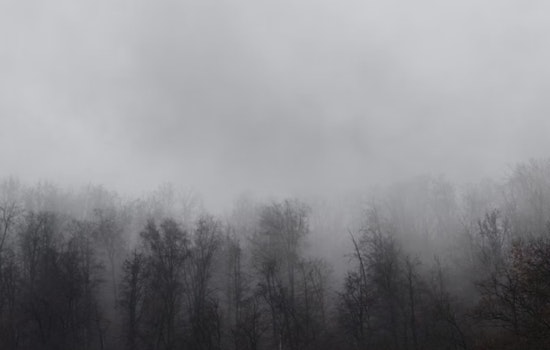 Thick Fog Chokes D.C. Morning Rush, With More Wet Weather On Deck