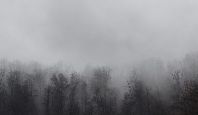 Thick Fog Chokes D.C. Morning Rush, With More Wet Weather On Deck