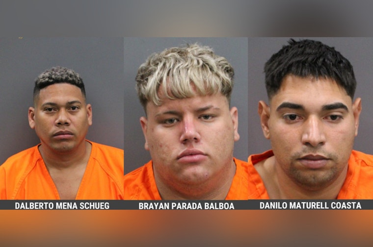 Deputies Nab Trio In Dawn Kidnapping Ordeal In Hillsborough County