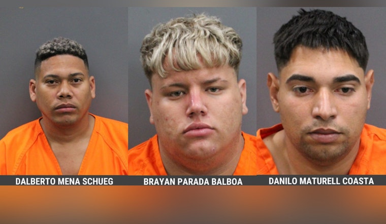 Deputies Nab Trio In Dawn Kidnapping Ordeal In Hillsborough County