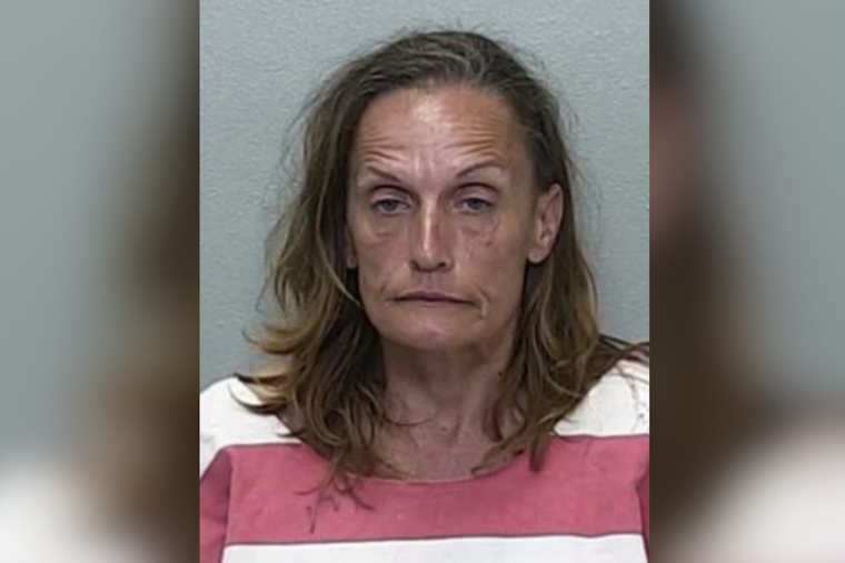 Deputies: Ocala Stepdaughter Used Soapy Spray In Savage Stabbing Of 83-Year-Old