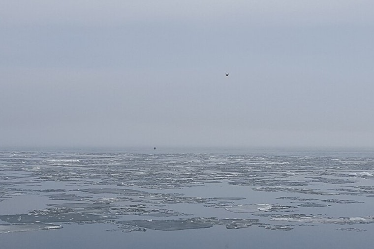 Detroit Wakes Up In A Cloud As Dense Fog Chokes Morning Commute