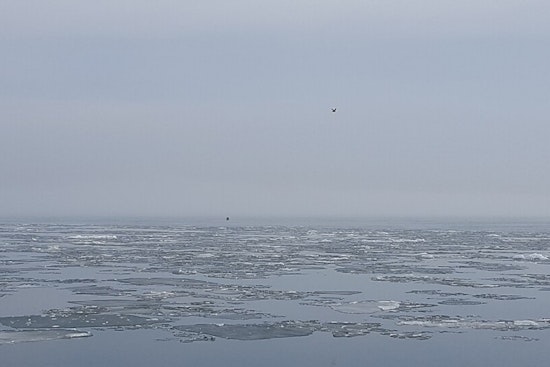Detroit Wakes Up In A Cloud As Dense Fog Chokes Morning Commute