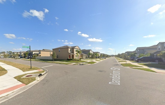 Ditch Shooting Near Apollo Beach Leaves Driver Dead, Woman Wounded