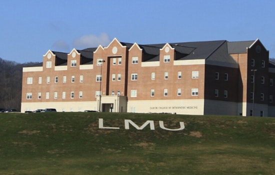 Docs, Vets And A Makeover: LMU Turns Orange Park Office Park Into Health Hub
