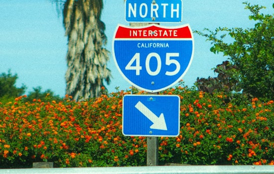 Dog Falls From Pickup On 405 Near Burbank Exit In Sherman Oaks