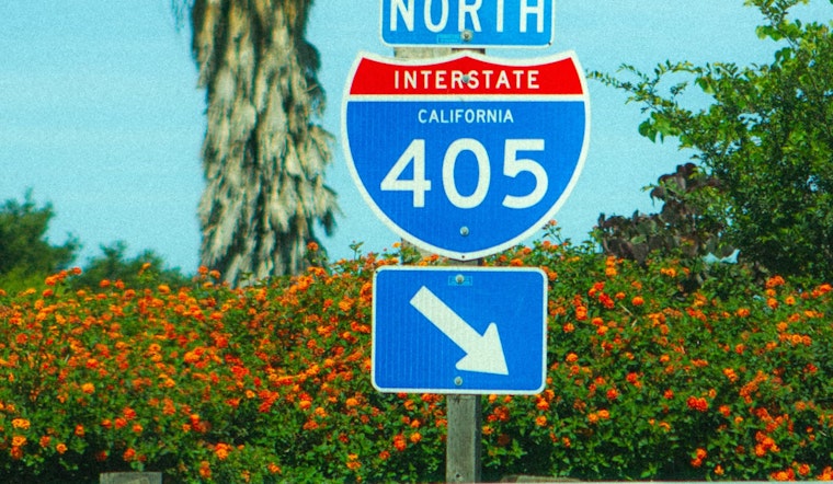 Dog Falls From Pickup On 405 Near Burbank Exit In Sherman Oaks