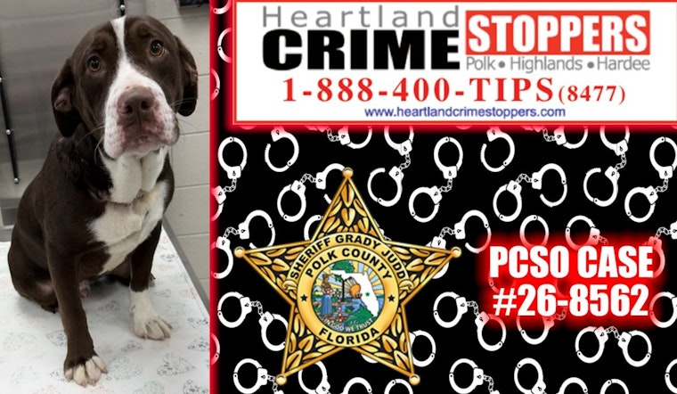 Dog Found Dead Near Lake Hamilton — Polk County Probe
