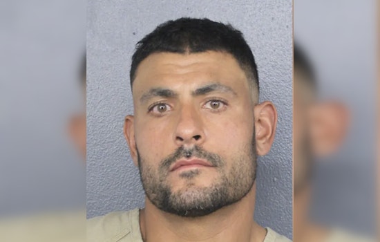 Dolphins Back In Hot Water As Ryan Crow Arrest Tape Resurfaces