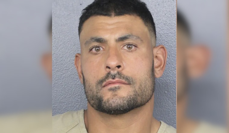Dolphins Back In Hot Water As Ryan Crow Arrest Tape Resurfaces