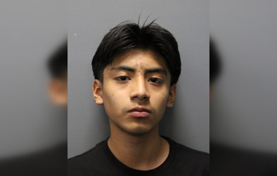 Dover Teen Busted After Gun Triggers Strawberry Crest High Scare