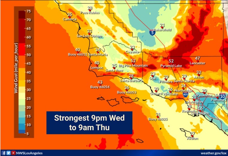 Downtown LA Braces for Wild Wind Blast Into Thursday