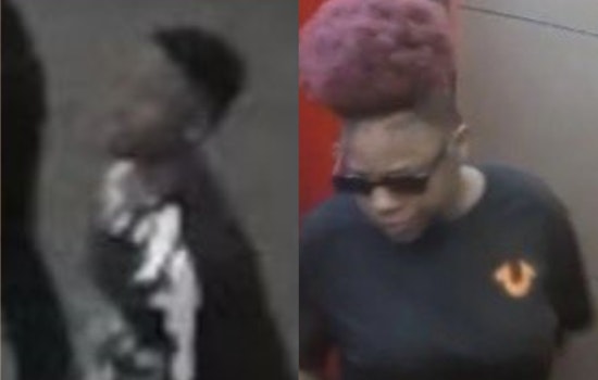 Downtown Robbery, Deadly I-70 Hit-and-Run Put Denver Cops on the Hunt