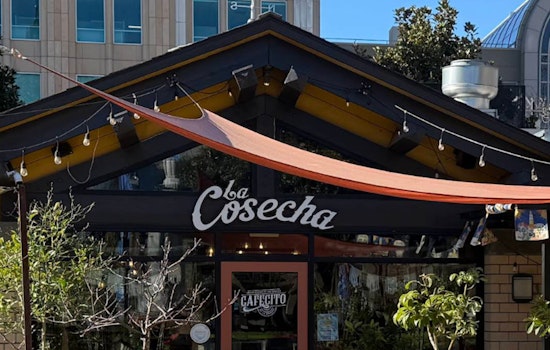 Downtown Sacramento Restaurateur Blasts City Hall After Latest Break-in
